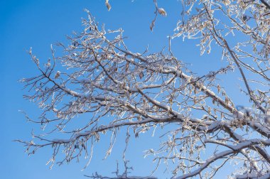 Dağlar. Kış. Yaygara yok, teslim tarihi yok, sadece huzur ve rahatlama. Derin karla kaplı ormanlar, sert ağaçlar ve çalılar, karla kaplı ağaçların beyaz tepeleri