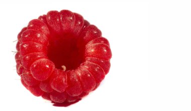 Ahududu harika bir C vitamini kaynağıdır. Manganez ve diyet lifleri. Ayrıca çok iyi bir bakır ve K vitamini, pantotenik asit, biyotin, magnezyum ve folik asit kaynağıdır..