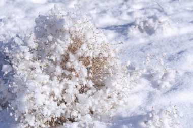 Dağlar. Kış. Yaygara yok, teslim tarihi yok, sadece huzur ve rahatlama. Derin karla kaplı ormanlar, sert ağaçlar ve çalılar, karla kaplı ağaçların beyaz tepeleri