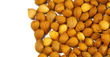 Kayısı çekirdekleri, gıda endüstrisinde, kayısı çekirdekleri düşük yağlı bisküviler, kurabiyeler, kekler ve antimikrobik film üretiminde kullanılabilir..