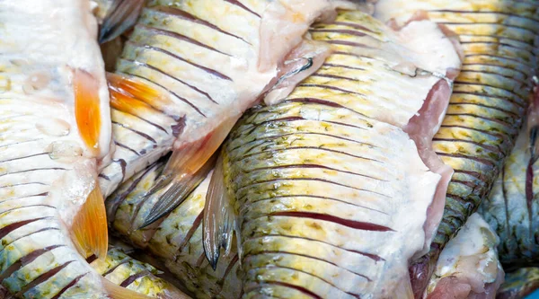 Ryby Jsou Připraveny Jídlu Mastné Ryby Jsou Také Obzvláště Bohaté — Stock fotografie