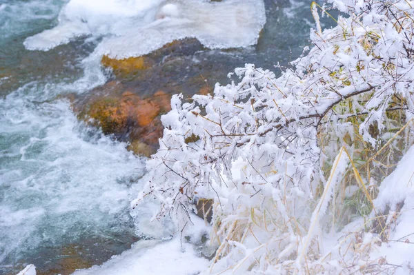 Floden Fryser Till Vintern Min Favorit Vinterflod Tystnaden Skogen Var — Stockfoto