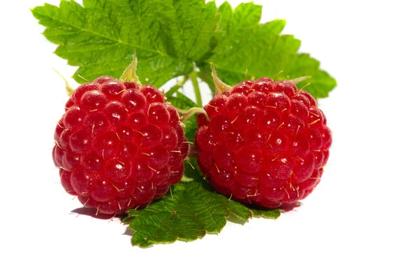 Raspberry Sexy Juicy Perfect Your Most Fruity Mood Give Some — Stock Photo, Image