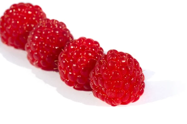 Raspberries Wild Red Raspberries Produce Small Tart Red Berries Delicious — Stock Photo, Image
