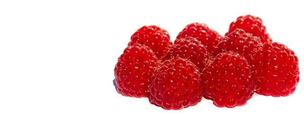 Ahududu Yabani Kırmızı Ahududular Küçük Tart Kırmızısı Meyveler Üretir Çok — Stok fotoğraf
