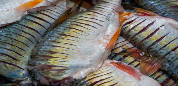Pescado Está Listo Para Comer Trata Vertebrados Acuáticos Sangre Fría —  Fotos de Stock