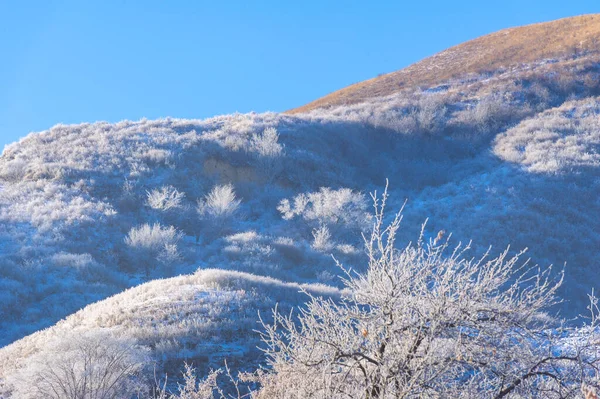 Nas Montanhas Inverno Está Chegando Juntamente Com Neve Caindo Uma — Fotografia de Stock