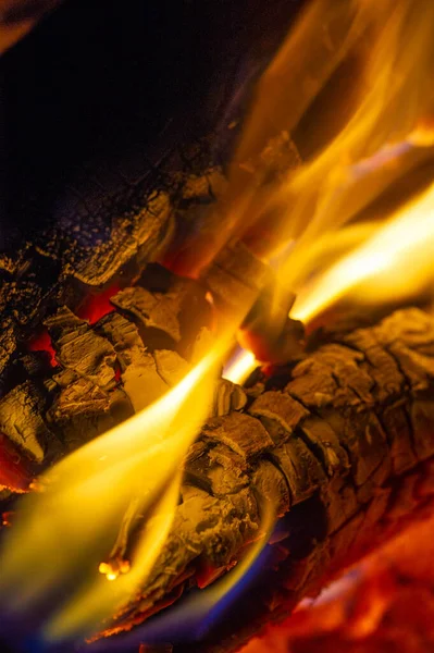 Fire Fire Important Process Affecting Ecological Systems World Positive Effects — Stock Photo, Image