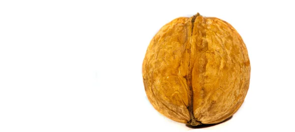Καρύδι Μπορώ Τρώω Συνέχεια Μαύρο Καρύδι Δεν Είναι Γεύση Της — Φωτογραφία Αρχείου