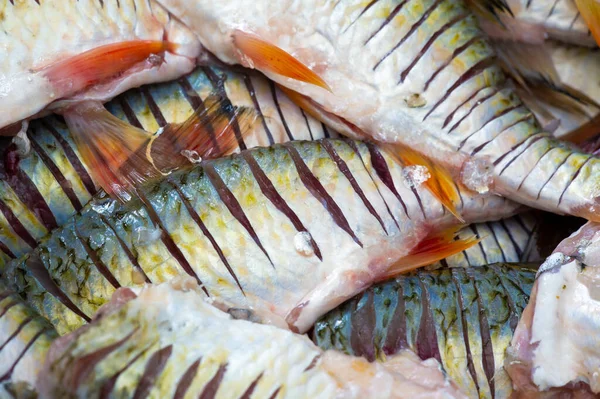 Ryby Jsou Připraveny Jídlu Ryby Obsahují Vysoce Kvalitní Bílkoviny Další — Stock fotografie