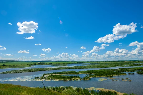 stock image summer photography, a river overgrown with reeds, blue sky with white clouds, blue water covered with duckweed, river floodplain, sultry summer day