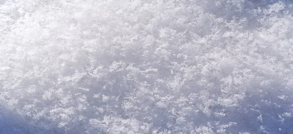 雪の地面 草をカバー 雪が木や畑を愛しているのかな それから彼は彼らをしっかりと覆う白いキルトで — ストック写真