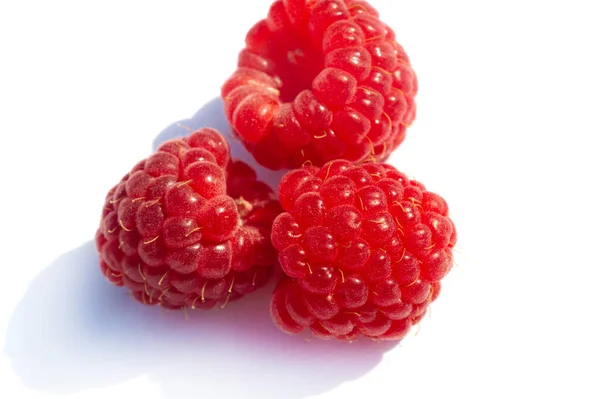 Raspberries Excellent Source Vitamin Manganese Dietary Fiber Also Very Good — Stock Photo, Image