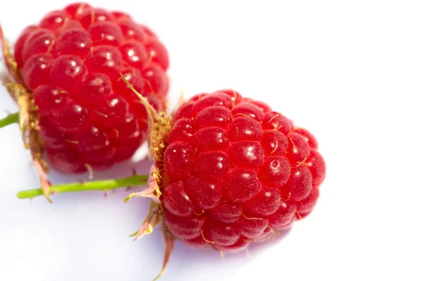 Himbeeren Sind Eine Ausgezeichnete Quelle Für Vitamin Mangan Und Ballaststoffe — Stockfoto