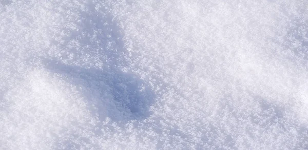Śnieg Pokrywa Ziemię Drzewa Trawę Zastanawiam Się Czy Śnieg Kocha — Zdjęcie stockowe