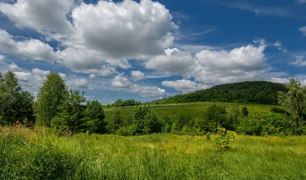 stock image Summer photos, knoll, hills, birch trees grow on the slopes of the mountains, a winding dirt road along the slope, summer hot days