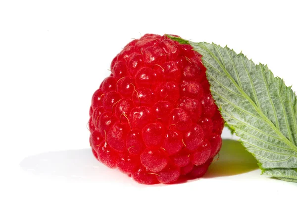 Raspberries Excellent Source Vitamin Manganese Dietary Fiber Also Very Good — Stock Photo, Image