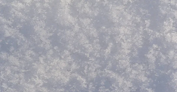 雪の地面 草をカバー 雪が木や畑を愛しているのかな それから彼は彼らをしっかりと覆う白いキルトで — ストック写真