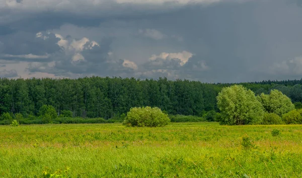 stock image summer landscape, thunderclouds, blue sky, floodplain meadow fields, the aroma of summer colors and a variety of wildflowers