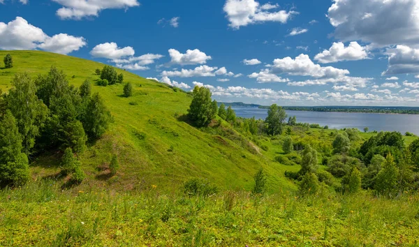 Yaz fotoğrafçılığı, su çayırları, nehir taşkın ovaları, dağdan çekilmiş fotoğraflar. Nehrin kenarında yemyeşil çimenler, çam, huş ağacı, fındık ağacı yetişir. sıcak yaz günleri