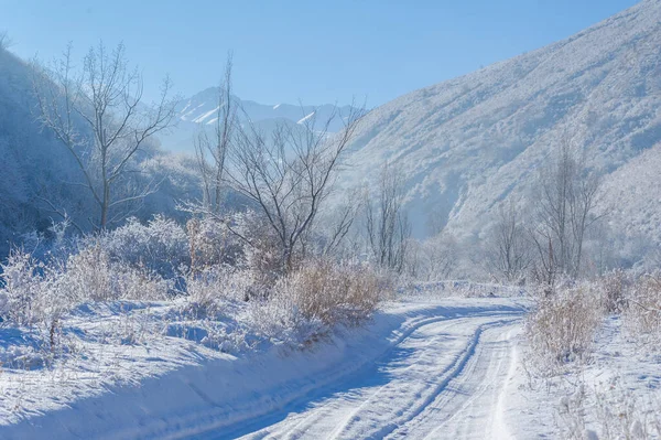 Montagne Inverno Dove Può Godere Idillio Invernale Pace Tranquillità Solo — Foto Stock