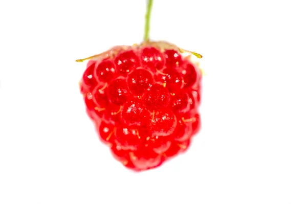 Raspberry Sexy Juicy Perfect Your Most Fruity Mood Give Some — Stock Photo, Image