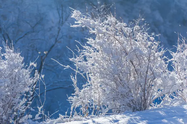 Góry Zimą Nie Nic Bardziej Romantycznego Niż Widok Pięknych Gór — Zdjęcie stockowe