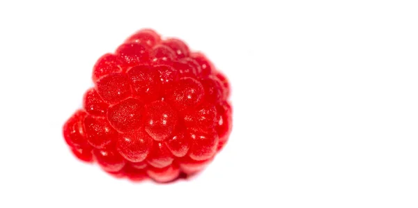 Hindbær Sensommeren Naturlige Hindbær Gøre Deres Vej Fra Markerne Til - Stock-foto