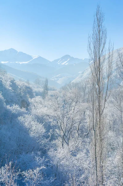 Mountains Winter Coming Together Falling Snow Sense Togetherness Descends Making — Stock Photo, Image