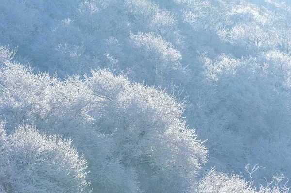 Горы Зима Никакой Суеты Никаких Сроков Абсолютный Покой Расслабление Глубокие — стоковое фото