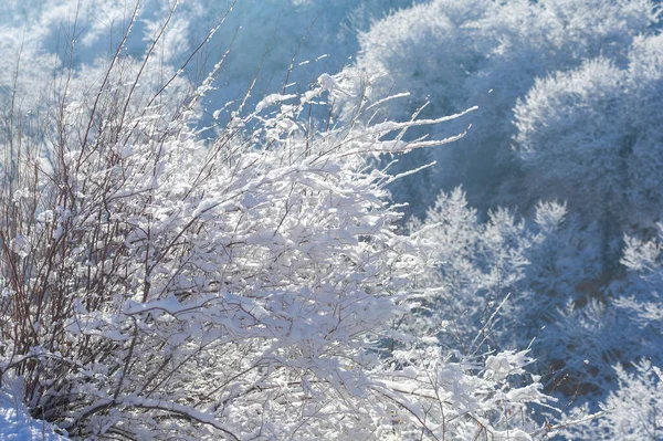 Dağlar Kış Huzur Sessizlik Içinde Kışın Tadını Çıkarabileceğiniz Bir Yer — Stok fotoğraf