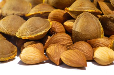 Kayısı çekirdeği, kayısı çekirdeği kanser ve kanser immünoterapisi gibi çeşitli hastalıkların yanı sıra kan basıncının düşmesine yardımcı olabilir..