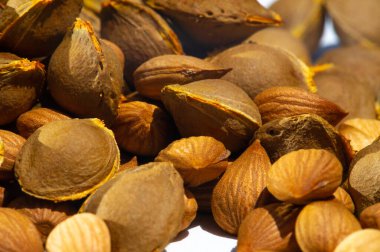 Kayısı çekirdeği, kayısı çekirdeği kanser ve kanser immünoterapisi gibi çeşitli hastalıkların yanı sıra kan basıncının düşmesine yardımcı olabilir..