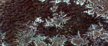 Dağınık. Boya üzerinde soğuk desenler var. Doğa işini tek bir örüntüye göre yapmaz; çeşitlilik yeteneğiyle övünür..