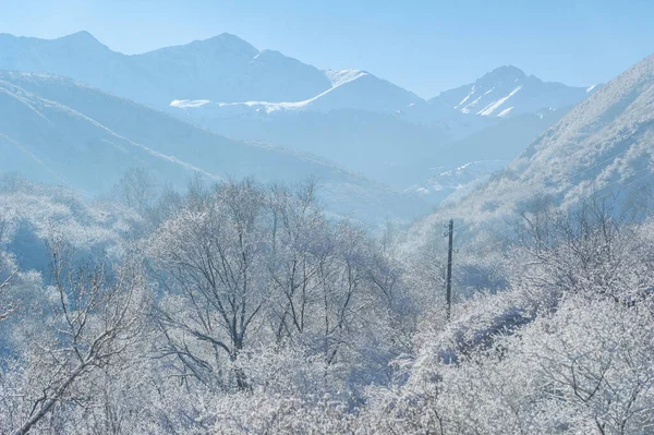 Dağlar Kış Geliyor Yağan Karla Birlikte Bir Birliktelik Hissi Çöküyor — Stok fotoğraf