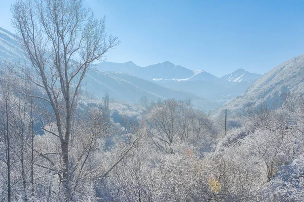 Nas Montanhas Inverno Sem Confusão Sem Prazos Apenas Paz Relaxamento — Fotografia de Stock