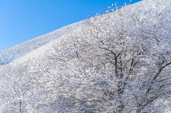 Dağlar Kış Kış Yürüyüşlerindeki Güzel Manzarayı Tanı Işıl Işıl Buzla — Stok fotoğraf