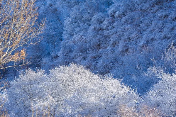 Горы Зима Познакомьтесь Красивыми Пейзажами Зимних Походов Рек Покрытых Сверкающим — стоковое фото