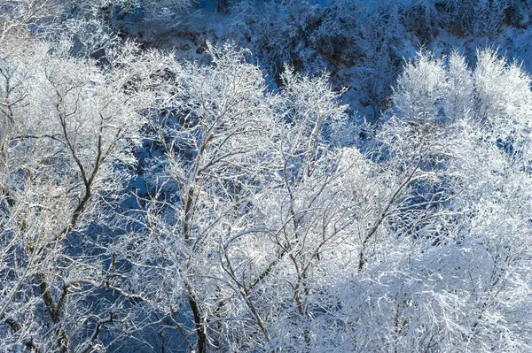 Góry Zimą Żadnego Zamieszania Żadnych Terminów Tylko Całkowity Spokój Relaks — Zdjęcie stockowe
