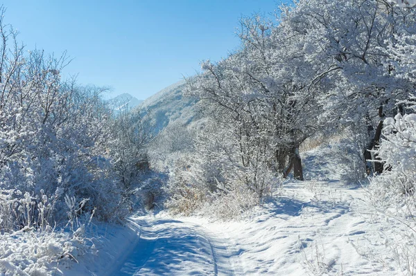 Munţii Iarna Cunoașteți Peisajul Frumos Drumețiile Iarnă Pârâuri Acoperite Gheață — Fotografie, imagine de stoc
