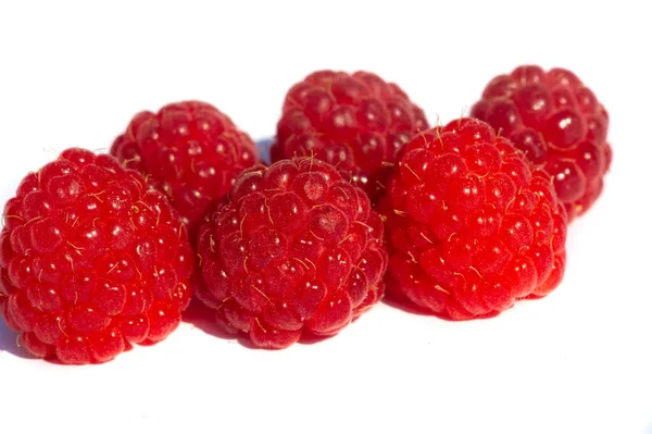 Raspberry Late Summer Native Raspberries Make Way Fields Your Fridge — Stock Photo, Image
