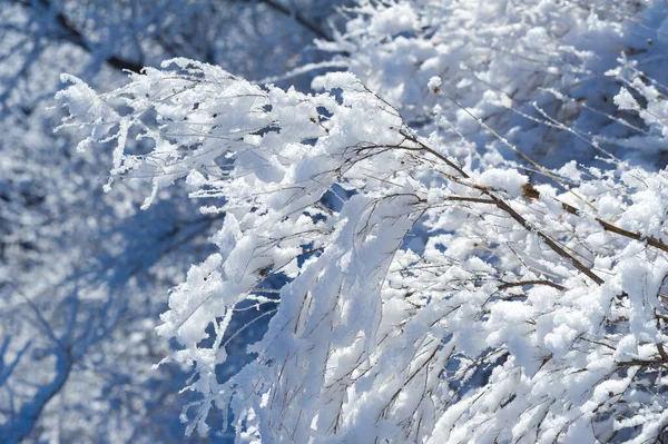 Горы Зима Ничего Романтичнее Смотреть Красивые Горы Красивые Зимние Пейзажи — стоковое фото
