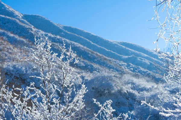 Montagne Inverno Niente Trambusto Niente Scadenze Solo Pace Assoluta Relax — Foto Stock
