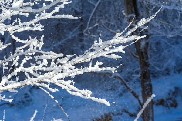Die Berge Winter Man Die Winteridylle Ruhe Genießen Kann Nur — Stockfoto