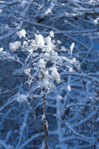 Bergen Vinter Det Finns Inget Mer Romantiskt Att Titta Vackra — Stockfoto