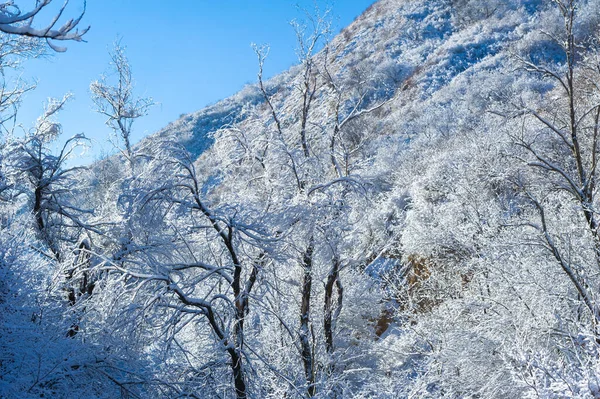 Las Montañas Viene Invierno Junto Con Nieve Que Cae Una —  Fotos de Stock