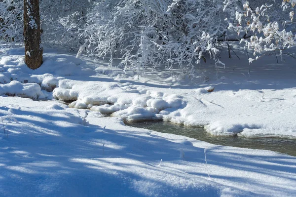 Nehir Kışın Donar Yerel Nehrimizle Geçen Kışın Sevdiğim Kısmı Sislerin — Stok fotoğraf