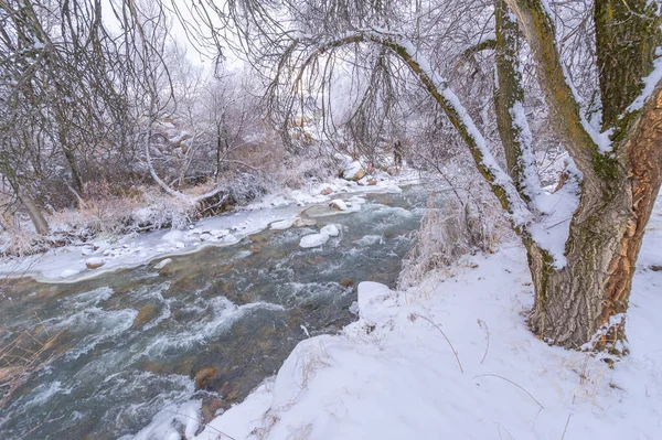 这条河在冬天结冰了 这条神奇的河流结冰的时候 这是一个真正的冬季童话 通常被认为是美丽的自然遗产 变成了童话 — 图库照片