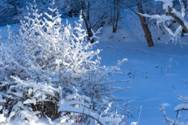 Góry Zimą Poznaj Piękne Krajobrazy Zimowych Wędrówkach Strumieni Pokrytych Błyszczącym — Zdjęcie stockowe