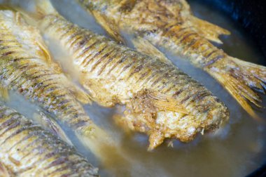 Balık yemek için hazır. Yağlı balıklar da özellikle kalp sağlığını destekleyen uzun zincirli omega-3 yağ asitleri bakımından zengindirler..